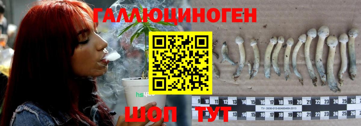 Галлюциногенные грибы мухоморы  Вход с VPN  Магадан  Псилоцибиновые грибы Magic Shrooms 